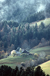 Valley of the Chartreuse. France.